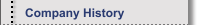 Company History